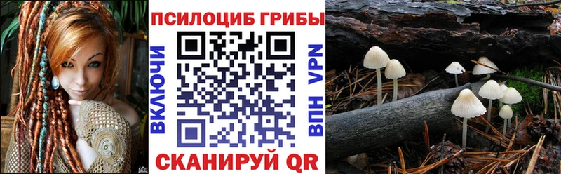 mega ССЫЛКА  Гаврилов-Ям  Галлюциногенные грибы мицелий 
