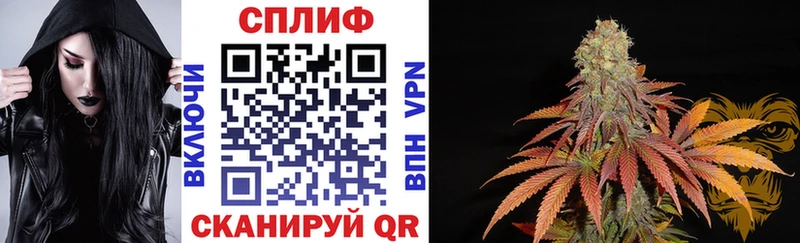 Шишки марихуана THC 21%  купить  цена  Гаврилов-Ям 